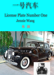 License Plate Number One_180x250